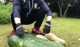 之前的吃瓜爆料有哪些,吃瓜爆料背后的真相与内幕